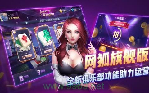 网狐漏洞: 网络安全中的隐患还是技术突破?