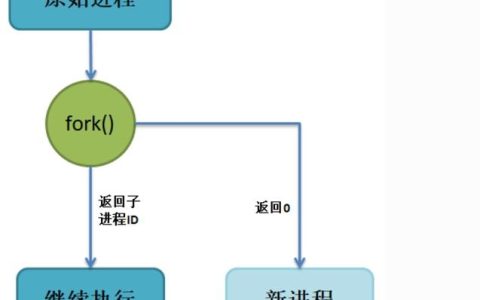 如何在Linux中创建和管理进程？