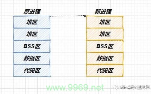 如何在Linux中创建进程，探索关键函数及其应用？