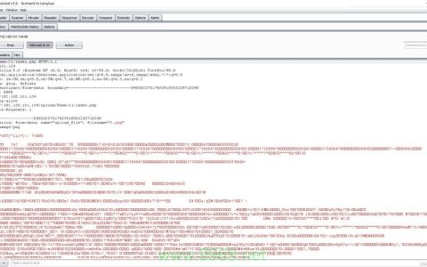 如何防范和修复软件中的任意文件读取漏洞？