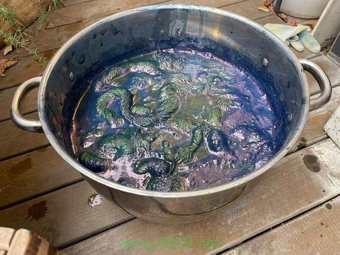 蓝缸CDN的性能表现究竟如何？插图2