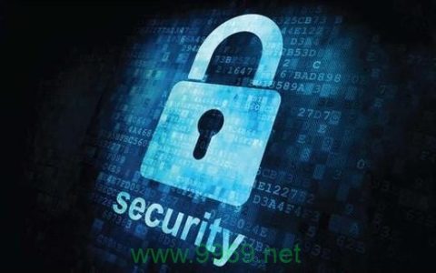 如何确保政府运作的高效与透明？