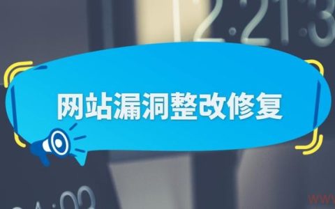 如何高效地发现并利用网站漏洞？