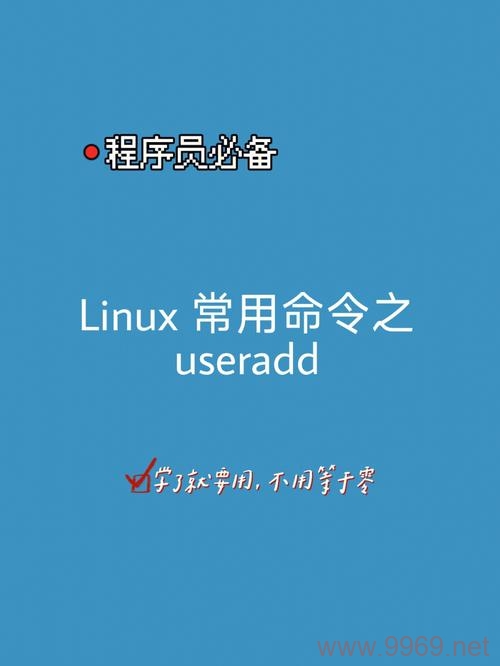 如何在Linux系统中创建FTP用户?插图1 如何在Linux系统中创建FTP用户?插图1
