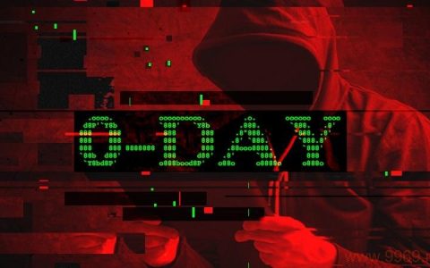 Oday漏洞究竟揭示了哪些网络安全风险？