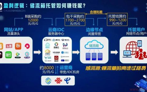 如何通过内容分发网络（CDN）实现盈利？