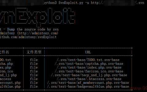 如何安全地利用SVN漏洞进行渗透测试？