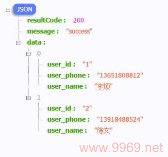 如何在PHP中返回JSON格式的数据？插图1