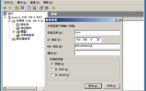 如何自定义和修改DHCP服务器的配置项？