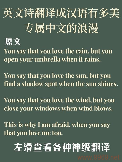 CDN的中文翻译是什么?插图2 CDN的中文翻译是什么?插图2