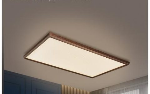 哪个品牌的CDN灯在市场上表现最出色？