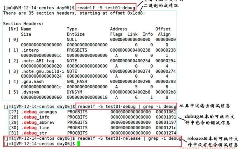 如何有效获取和利用Linux模块的调试信息？