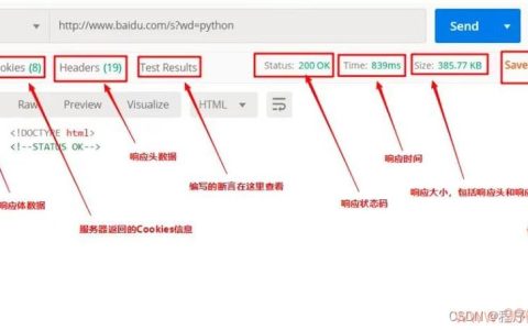 如何精通使用Postman进行API测试与开发?