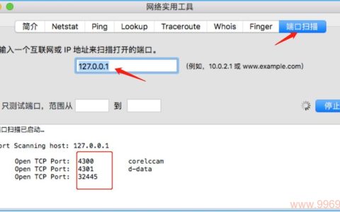 如何在Linux系统中查询开放的端口？