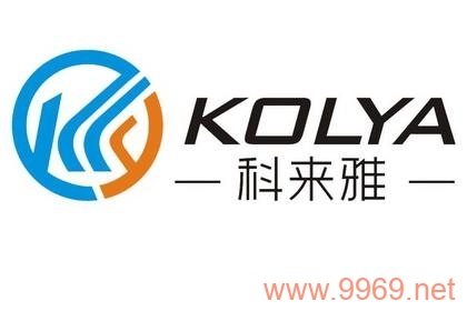 科来公司最近发现的漏洞究竟有多严重?插图 科来公司最近发现的漏洞究竟有多严重?插图