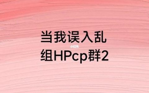 CP漏洞群是指什么类型的网络社群？