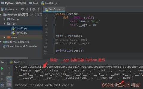 Python编程中下划线的神秘用途是什么？