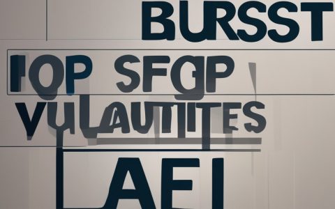 如何有效修补‘补天’计划中的安全漏洞？