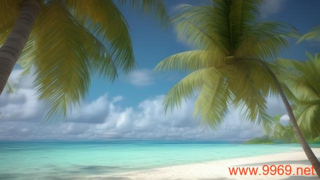 椰树漏洞扫描器,一款怎样的网络安全工具?插图 椰树漏洞扫描器,一款怎样的网络安全工具?插图