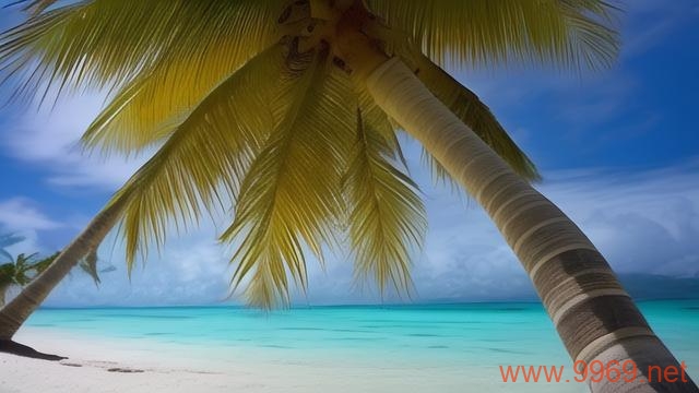 椰树漏洞扫描器,一款怎样的网络安全工具?插图1 椰树漏洞扫描器,一款怎样的网络安全工具?插图1