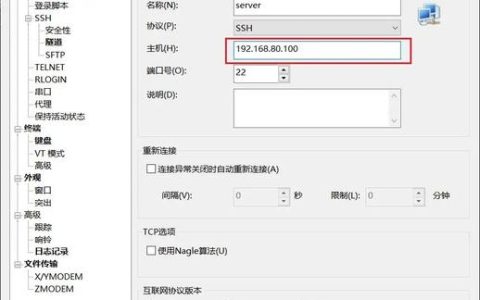 构建网站需要哪些服务器和端口配置？