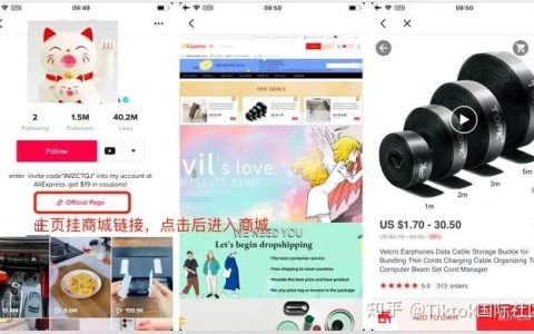 海外tiktok抖音营销为什么推荐美国多IP服务器？