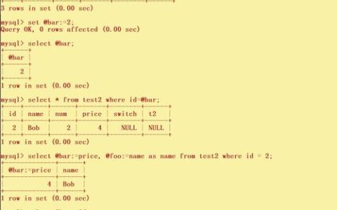 如何在MySQL中有效利用变量和广播变量来优化查询性能？