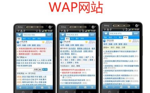 WAP网站究竟指的是什么？