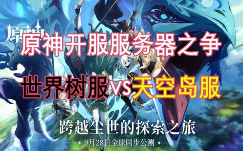 世界树与天空岛服务器，探索两者间的奥秘差异