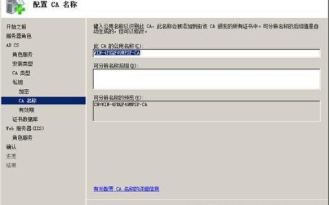 为什么CA服务器仅在局域网内可见？