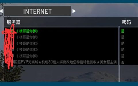 探索自主搭建服务器的必要性，我们为何要亲手打造属于自己的服务器？